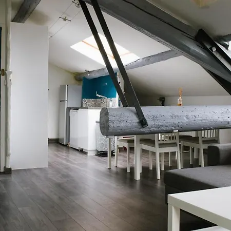 Appart Climatise Style Loft Avec Garage Apartman Béziers