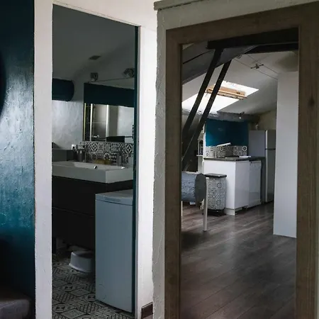 Appart Climatise Style Loft Avec Garage